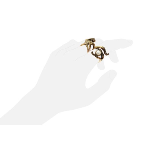 Octopus and its Tentacle Ring - Image 4